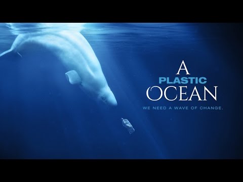 A plastic ocean