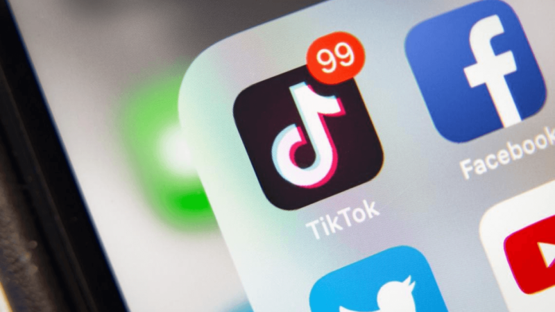 11 Year Olds Spend their free time on TikTok