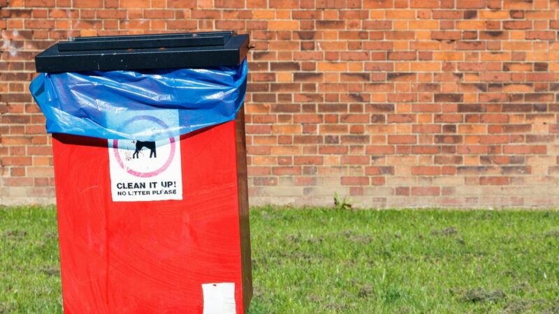 Bin’s should be a demand for public parks and beaches