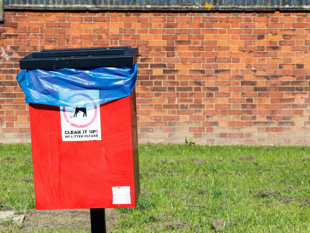 Bin’s should be a demand for public parks and beaches